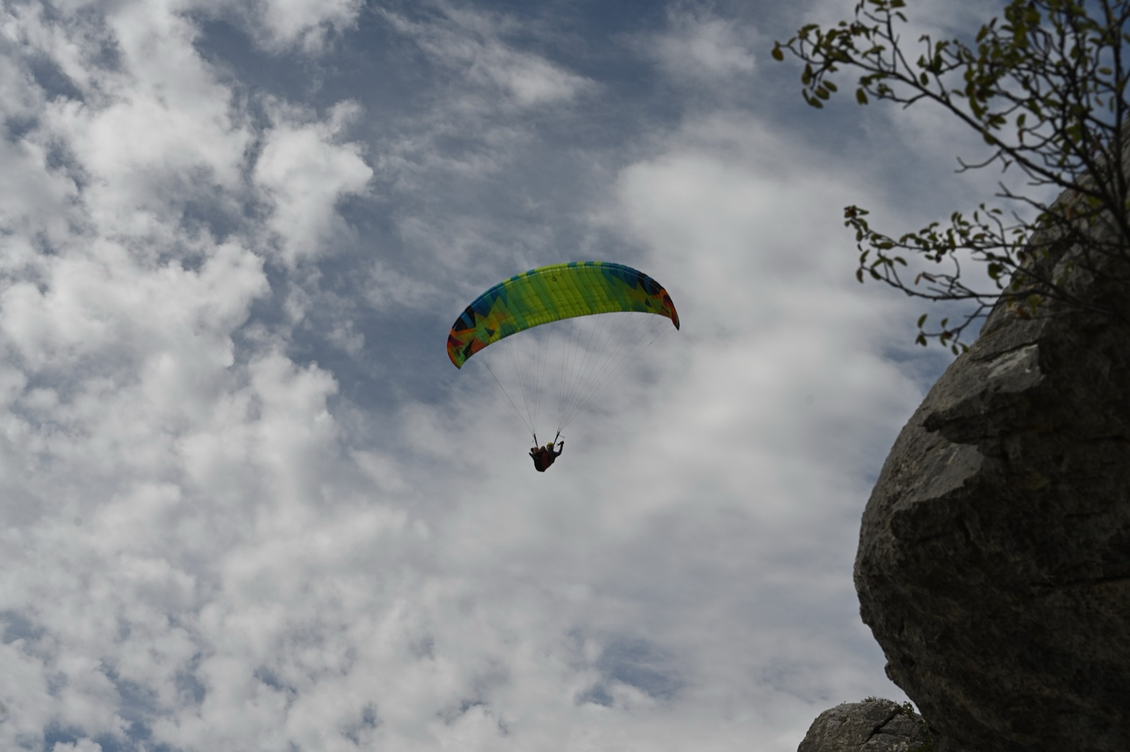 A paraglider flying past a rocky cliff edge with a tree in silhouette